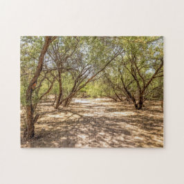 4745-Shade Trees na Quebra-cabeça do lago Saguaro