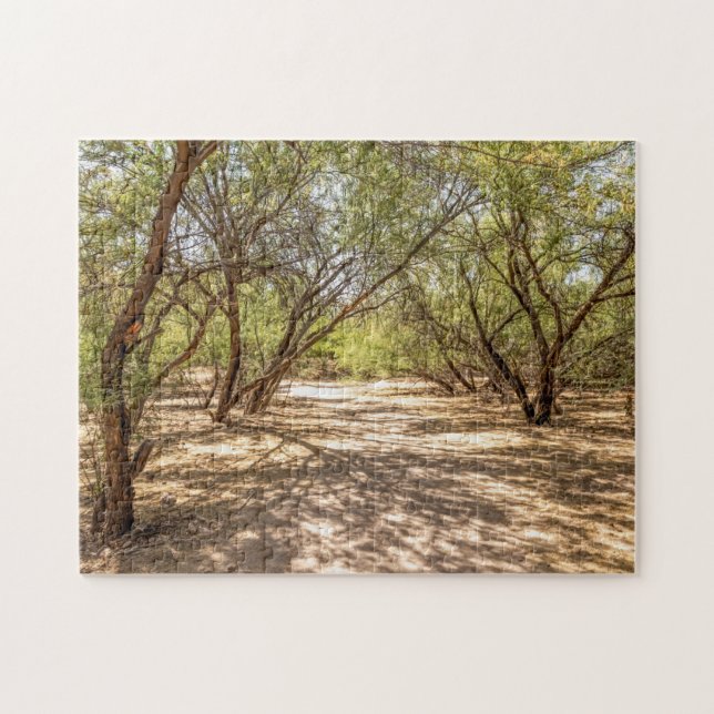 4745-Shade Trees na Quebra-cabeça do lago Saguaro (Horizontal)