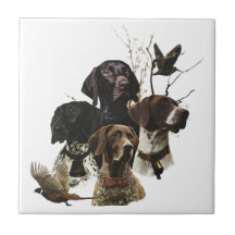 4 Cores de Ponteiro Baixo Alemão