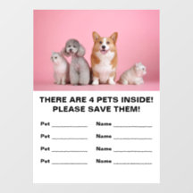 4 Emergência Pet