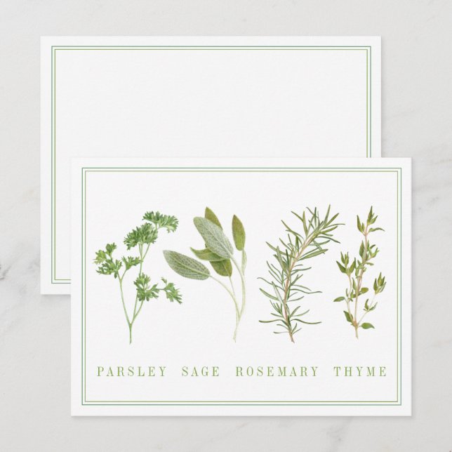 4 ERVAS FRESQUINHAS Cartão Postal (Frente/Verso)