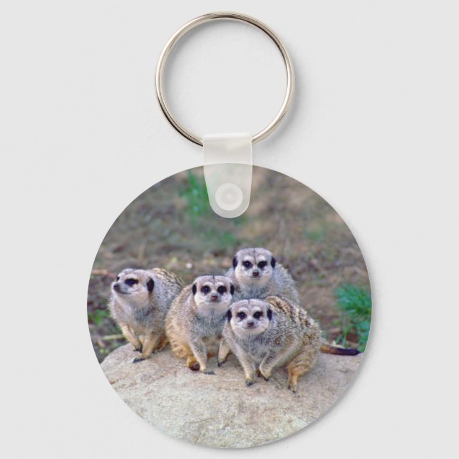 4 Meerkats Peering Chaveiro (Frente)