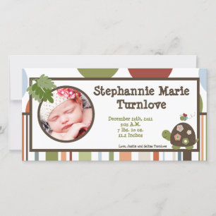 4x8 Foto Anúncio de Nascimento Laguna Praia Tartar