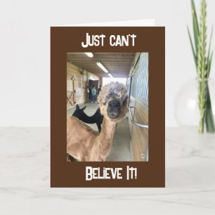 "50 ANOS?? SÓ NÃO ACREDITO NO Cartão