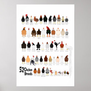52 raças de poster