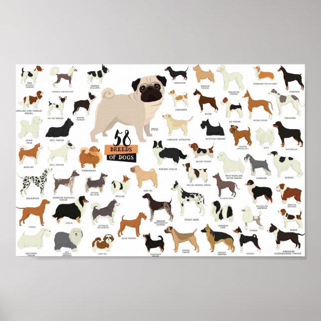 52 Rações De Cães Poster (Frente)