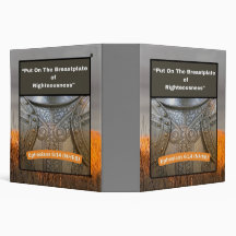 Coloque a Chapa da Rigidez -