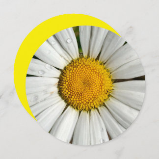 5,25 x 5,25 Círculo de Convite