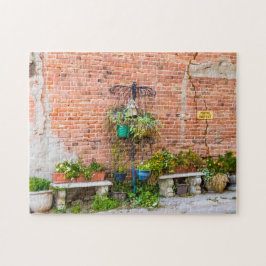 6090-Plantas na Quebra-cabeça de Beco