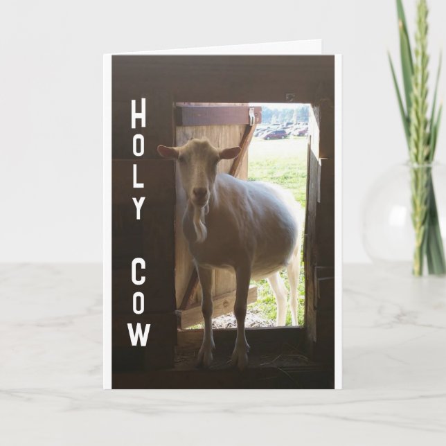 60 ANOS? SÓ NÃO ACREDITO NO Cartão (Frente)