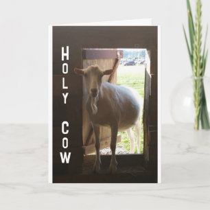 60 ANOS? SÓ NÃO ACREDITO NO Cartão