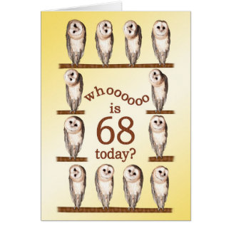 68º aniversário, Cartão Curioso das Corujas.