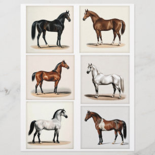 6 Lindas Ilustrações de Cavalo para a Papelaria