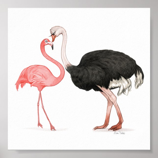 6x6 Pássaros de Amor Impressão (Frente)