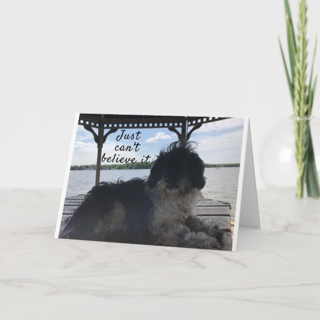 **70** COMO SE SENTE NO ANIVERSÁRIO CARTÃO HUMOR? (Frente)