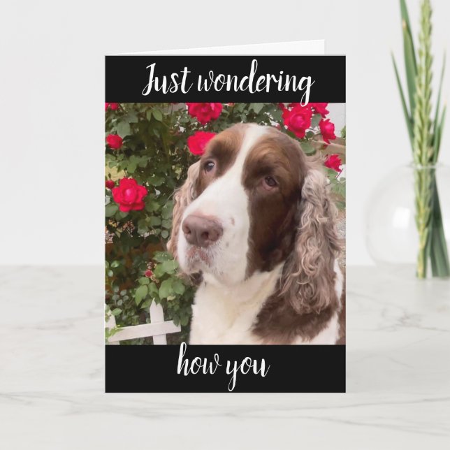 **75º E VOCÊ É FABULOSO** SEMPRE! CARTÃO DE ANIVER (Frente)