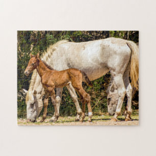 7985-Mama & Baby Wild Mustangs Quebra-cabeça
