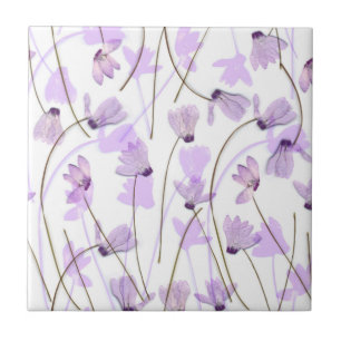 #7 de florescência - Azulejo roxo do Cyclamen