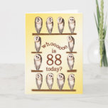 88th aniversário, cartão curioso das corujas<br><div class="desc">Corujas de celeiro engraçadas que giram suas cabeças. Um cartão de aniversário cómico para alguém que gosta de corujas.</div>