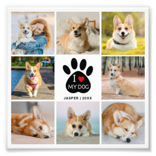 8 Colagem de Fotos Eu Amo Meu Cachorro Ampliação d