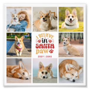 8 Colagem de Fotos Pet Santa Patas Ampliação de Fo