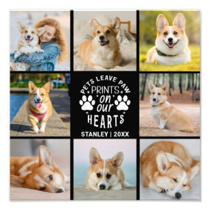 8 Foto Collage Pet Lembrance Foto Alargamento