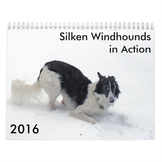 9 2016 Windhounds macios no calendário da ação (Capa)