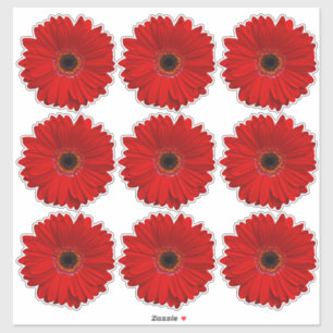 9 adesivos de corte de flor de margarida Gerber ve