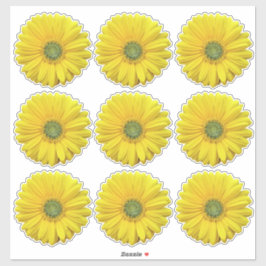 9 adesivos de flores amarelas de Gerber Daisy cort