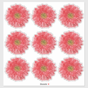 9 adesivos de flores de Gerbera Coral beijados