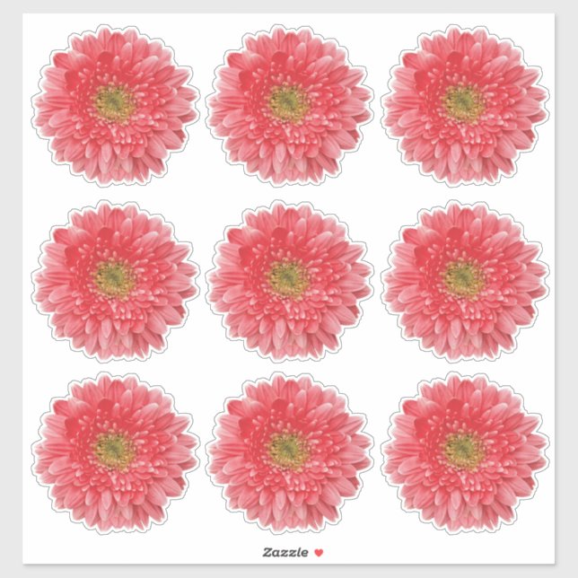 9 adesivos de flores de Gerbera Coral beijados (Folha)