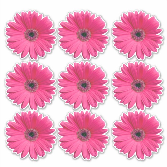 9 adesivos de flores de Gerbera Rosa (Frente)