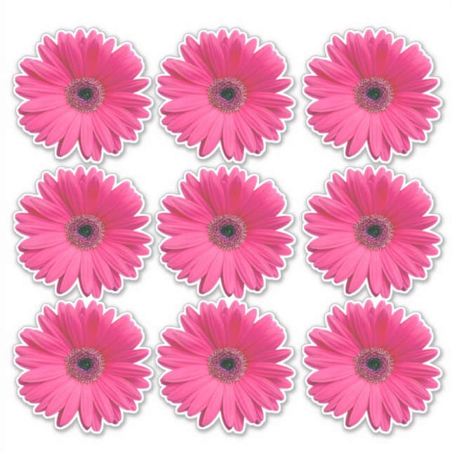 9 Adesivos Kiss-Cut de Flor de Gerbera Rosa (Frente)