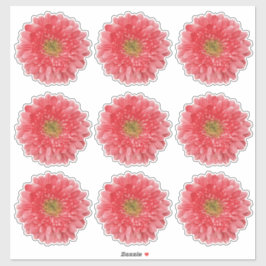 9 adesivos recortados de flores de Gerbera cor cor