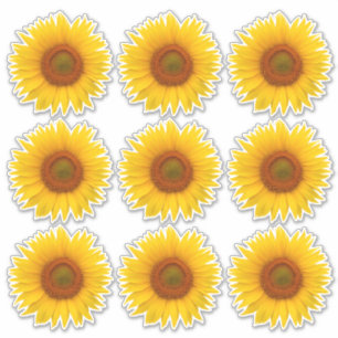 9 Adesivos Recortados de Girassol Laranja Amarelo