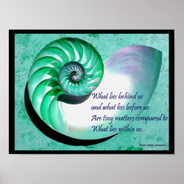 A01 Nautilus Shell Poster com cotação Inspiraciona