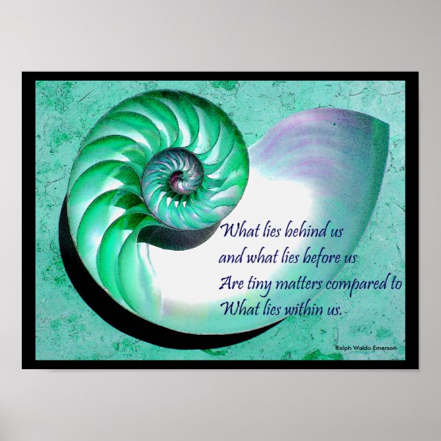 A01 Nautilus Shell Poster com cotação Inspiraciona (Frente)
