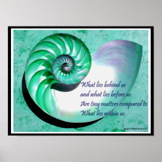 A01b Nautilus Shell Poster - Cotação Inspiracional