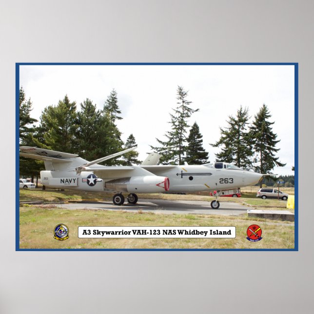 A3 Skywarrior VAH 123 Poster de aeronave (Frente)