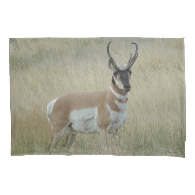 A8 Pronghorn Antelope Big Buck (Frente)