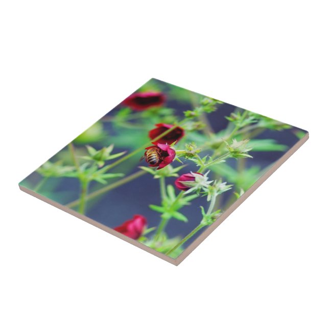 A Abelha Com a Flor Vermelha (Lateral)