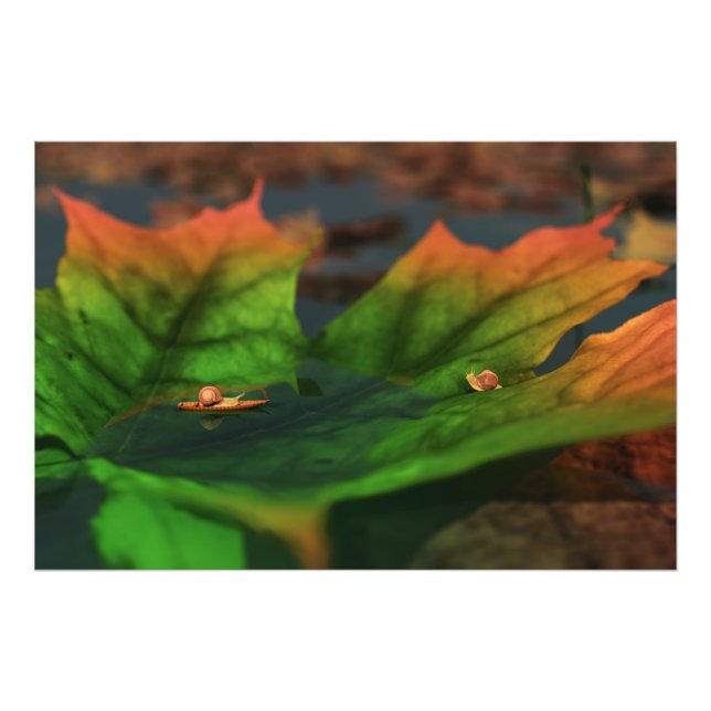 A Água É Um Impressão De Foto Amplo (Frente)