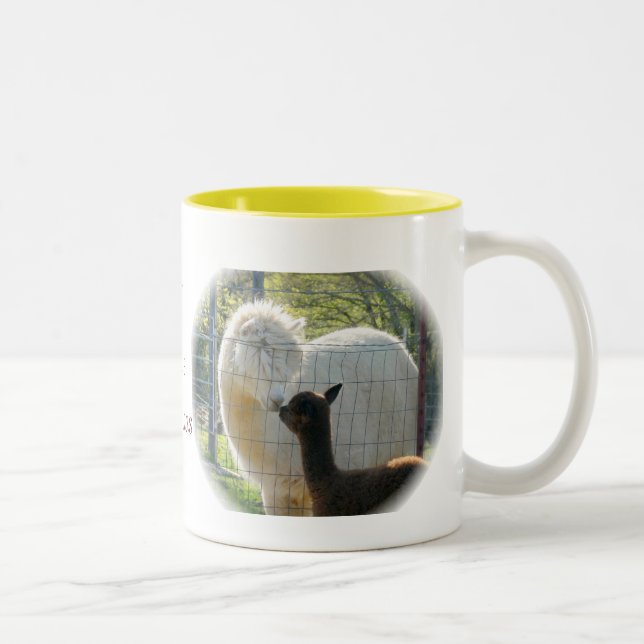 A alpaca beija a caneca (Direita)