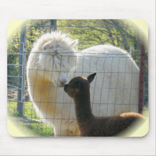 A alpaca beija Mousepad