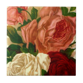 A antiguidade dos rosas da herança do vintage