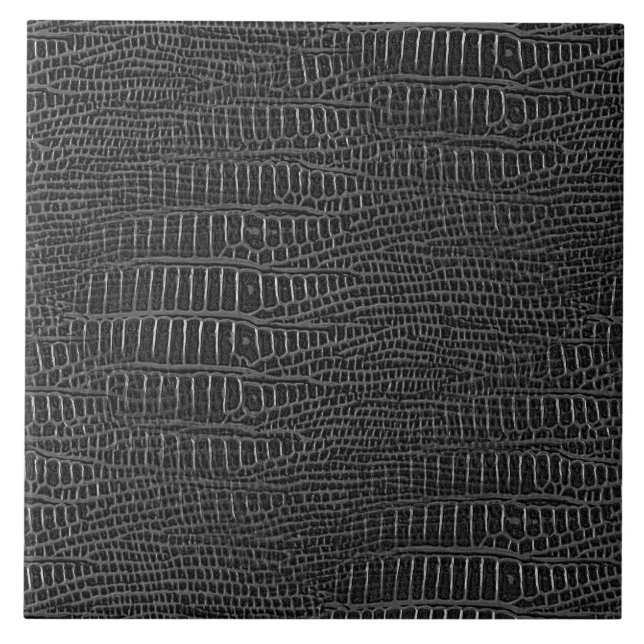 A aparência da pele de jacaré realística preta (Frente)