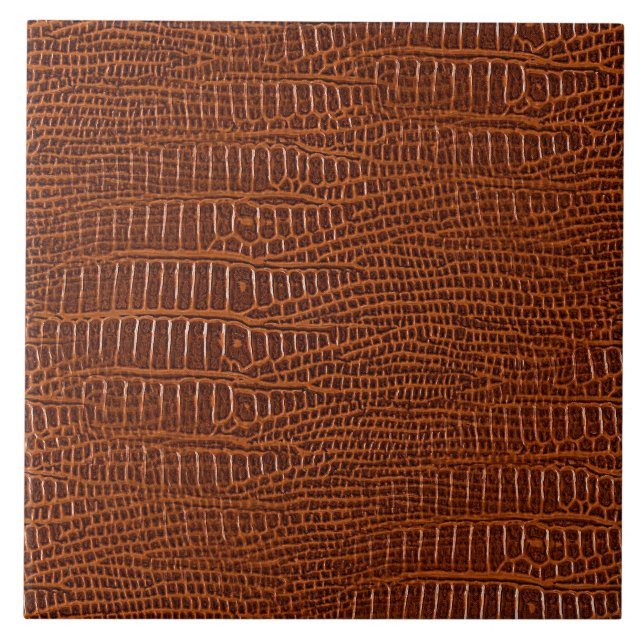 A aparência da pele do jacaré realístico marrom (Frente)