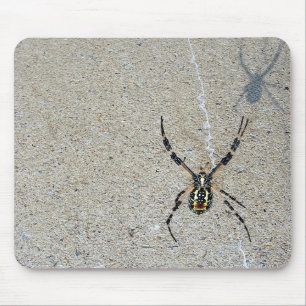 A aranha da escrita vê que é sombra Mousepad