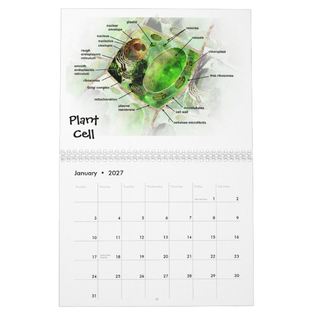 A arte do calendário da ciência (Jan 2027)