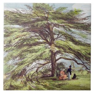 A árvore de cedro de Líbano no arboreto, Kew Gar